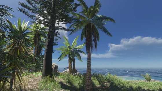 How to Revive a Teammate in Stranded Deep